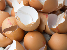 10 usos da casca de ovo que você não conhecia: não jogue no lixo as suas mil e uma utilidades e benefícios