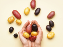 Muita gente não sabe, mas batata-doce e batatas normais não parentes próximas, e a ciência explica o porquê