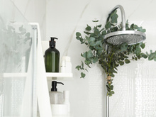 Viralizou: quais os reais benefícios de colocar eucalipto dentro do chuveiro? Será que é eficaz para a saúde?