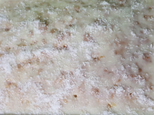 Bolo toalha felpuda de liquidificador