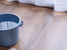 Balde de água, toalha molhada e porta aberta: 3 métodos caseiros para umidificar o ar em tempos de queimadas que funcionam