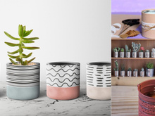 Transforme lixo em tesouro: como reaproveitar latas de alumínio em casa de um jeito fácil, útil e criativo