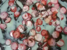 Pizza de chocolate com morango