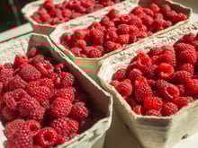 Os benefícios da framboesa: fruta vermelha só é pequena no tamanho, conheça as grandes vantagens de incluir essa delícia na alimentação