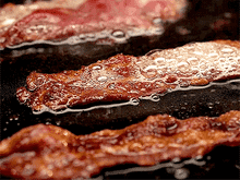 Excelentes motivos para amar bacon