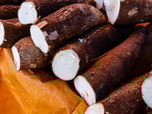 Como escolher a melhor mandioca na feira ou no mercado para fazer pratos deliciosos