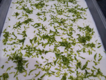 Mousse de limão