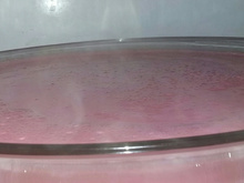 Mousse fácil de morango