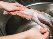 Todas as postas de peixe são limpas à mão, sem faca nem água fervente: método espanhol que mantém a cozinha sempre limpa e funciona de verdade