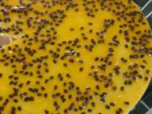 Torta holandesa de maracujá