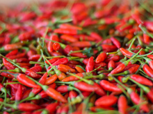 Tipos de pimentas: descubra qual é a mais ardida