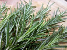 Nada de comer! A solução pra melhorar a memória em 75% é cheirando essa erva aromática, revela estudo recente