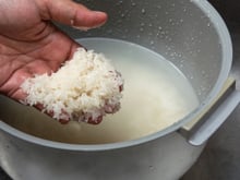 Cozinheiros e especialistas concordam sobre se o arroz deve ser lavado antes do cozimento: "Isso melhora visivelmente muitas variedades”