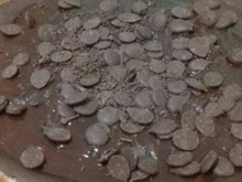 Torta de chocolate com massa podre