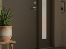 O que significa colocar uma babosa na porta de entrada da sua casa, segundo a tradição chinesa