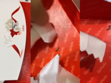 Homem expõe larvas em caixa de bombom famoso e gera revolta. Saiba o que fazer se acontecer com você!