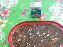 Manjar de leite condensado e coco