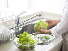 Como conservar a alface fresca por mais tempo