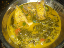 Bredo da semana santa