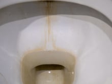 Esqueça a água sanitária e a soda: TudoGostoso mostra o truque dos pedreiros para limpar o vaso sanitário