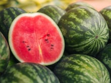 Guia prático do TudoGostoso para escolher a melancia mais doce do mercado: o segredo está nestes detalhes