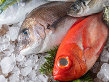 Poucos sabem, mas esses são os sinais que você deve procurar em um peixe fresco de boa qualidade
