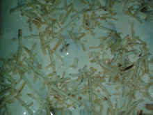 Panqueca de frango diferente