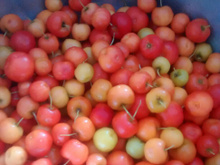 Doce de acerola