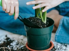 O vaso de planta feito de plástico ficou para trás: essa tendência é mais eficiente, melhora a drenagem e favorece o crescimento