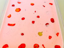 Gelatina bicolor da Mel