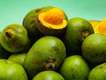 Você conhece o pequi? Aprenda o que é e como cozinhar essa fruta típica do cerrado