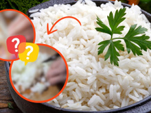 Gringo gera revolta ao falar que brasileiros fazem arroz errado; TudoGostoso discorda, mas quer saber sua opinião!