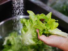 A dica para lavar vegetais em 5 minutos! Uma receita secreta para manter os vegetais frescos por mais tempo
