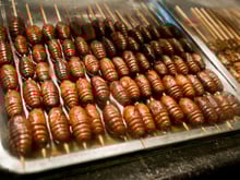 8 animais que você provavelmente não sabia que eram comestíveis