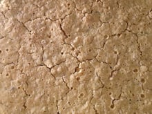 Bolo/biscoito da superfície lunar