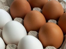 Ovos marrons ou ovos brancos: eis a origem da diferença de cor e por que seus preços variam
