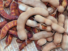 Saiba mais sobre o tamarindo: benefícios e como utilizar