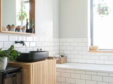 3 plantas para ter no banheiro se você tem alergias ou problemas respiratórios