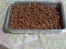 Amendoim Doce Crocante