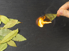 Um truque de ouro que aprendi com a minha avó: queimar folhas de louro em casa toda semana mudou minha vida