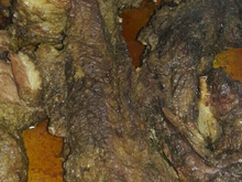 Costela assada no forno