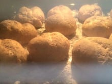 Pão integral com azeite