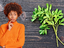 Por que é recomendado ferver ramos de arruda em casa? Saiba para que serve