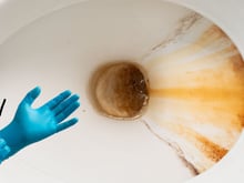 Como se livrar definitivamente das manchas no vaso sanitário: aqui está o guia de uma profissional de limpeza