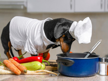 5 itens de animais para decorar sua cozinha