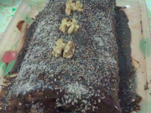 Rocambole de doce de leite com cobertura de chocolate