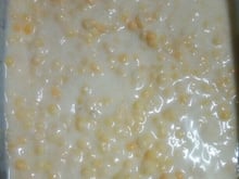 Munguzá do Nordeste