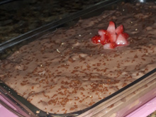 Pavê de chocolate super fácil