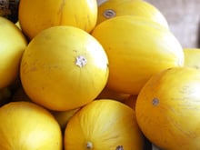 Como escolher melão: veja as dicas para selecionar e conservar a fruta