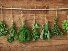 7 ervas que merecem ser incluídas em seu dia a dia